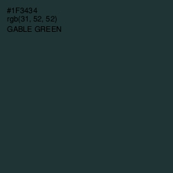 #1F3434 - Gable Green Color Image